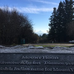 View from Council Crest toward Mt. Hood, which is visible