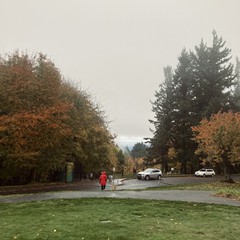 View from Council Crest toward Mt. Hood, which is NOT visible