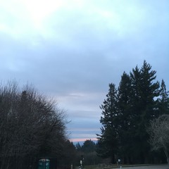View from Council Crest toward Mt. Hood, which is NOT visible