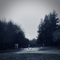 View from Council Crest toward Mt. Hood, which is NOT visible