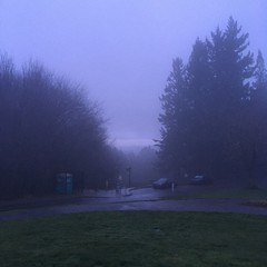 View from Council Crest toward Mt. Hood, which is NOT visible