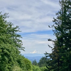 Mt Hood half in shadow under a humid veiled sky