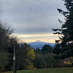 View from Council Crest toward Mt. Hood, which is visible