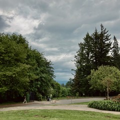 gray sky, shiny, high contrast, extra vibrant green vegetation, no mountain