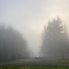 View from Council Crest toward Mt. Hood, which is NOT visible