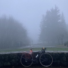 View from Council Crest toward Mt. Hood, which is NOT visible