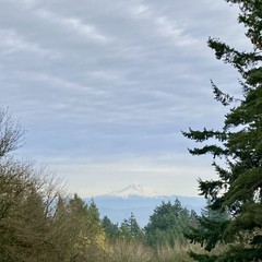 View from Council Crest toward Mt. Hood, which is visible