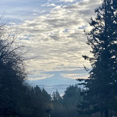 View from Council Crest toward Mt. Hood, which is visible