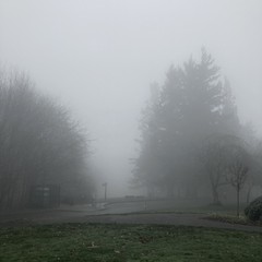 View from Council Crest toward Mt. Hood, which is NOT visible