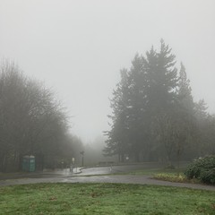 View from Council Crest toward Mt. Hood, which is NOT visible