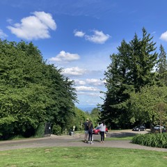 Small pieces of Mt. Hood are visible behind a blue sky full of fluffy white clouds. In the near foreground, three people stand and admire the view