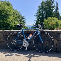 A steel Vanilla brand road bicycle leaning against a low stone wall. Mt Hood, out of focus, white and snowy in the distance. Deep blue sky.