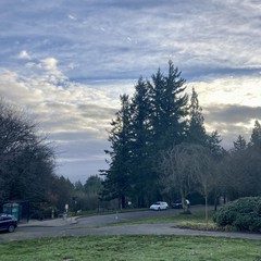 View from Council Crest toward Mt. Hood, which is NOT visible