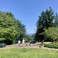 a group of people admire Mt. Hood which is ringed with a layer of clouds under an otherwise spotless sky. A cyclist on a fixed gear bike rides past.