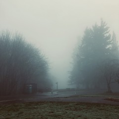 View from Council Crest toward Mt. Hood, which is NOT visible