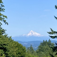 View from Council Crest toward Mt. Hood, which is visible