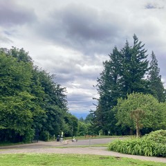 Busy cloudy sky, vivid vegetation. not too hot. humid