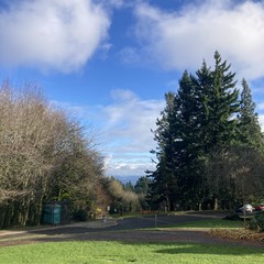 View toward Mt Hood which is hidden by low wet clouds in a broken sky. The first day without rain all week. Grass in the foreground is bright green in the low sunlight