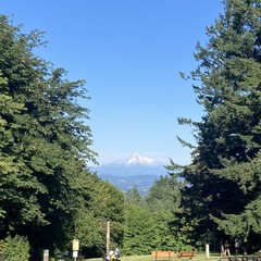 Lotsa snow on Mt. Hood for July 3