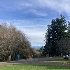A high deck of silvery high altitude clouds is moving across the sky behind mt. Hood
