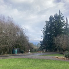 Portland is back on its winter shit again. Gray and wet, not too cold, mountain obscured, smells like Christmas trees, you know the drill.