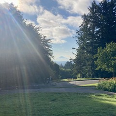Silhouette of Mt. Hood above a layer of marine clouds, about 2 hours after sunrise