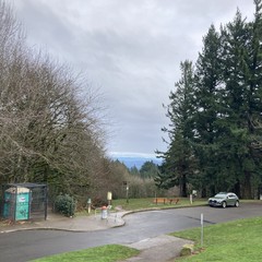 Cold rainy view to the east over a car and portapotty, past a stand of Doug firs and leafless alders