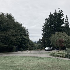 These lead-gray skies are always a challenge to describe colorfully. Under blank sky (“tuned to a dead TV channel”) there is a lower, wetter stratum of clouds that obscure Mt. Hood. A young deciduous tree in the near foreground, just turning slightly red for the fall, provides the only whisper of non-gray or non-green in this view