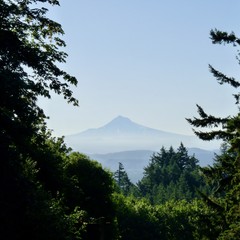 Silhouette of Mt. Hood on a clear summer morning